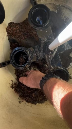 Dirty job! 🫣 (via vision.pools/IG) | PoolDial