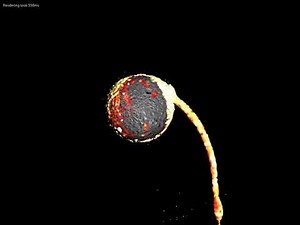 Raytraced impact simulation