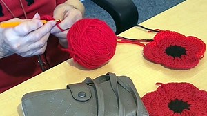 Hundreds of knitted poppies line Port Stanley