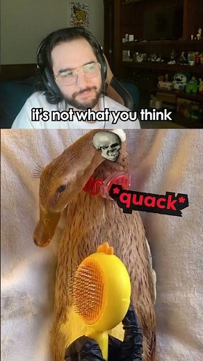 Redshell Saw It Coming 💀😭