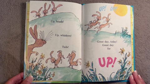 Great Day for Up by Dr. Seuss | READ ALOUD Stories for kids