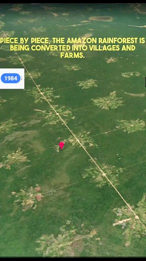 Watch the deforestation of Amazon over 37 years. #deforestation #amazonrainforest #deforestationawareness #timelapsevideo #lovenature #lovenature🌱🌱🌿 #sadsight #heartbreakingvideo | Be Eco - Save the Planet