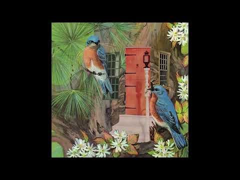 22° Halo - Bird Sanctuary