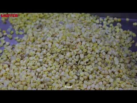 🌽 Frozen Corn Sorting | AI Sensor-Based Optical Sorter | Lauffer Vision UK & Europe