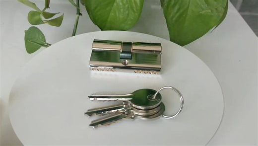 Europrofile Brass High Security Anti-prying Double Open Lock Cylinder