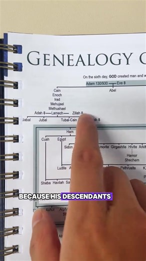 ✨ Explore Scripture in a whole new way ✨ Dive into the Bible with stunning charts, maps, and timelines that make God’s Word clearer than ever.  #rosebookofbiblecharts #biblestudytools #biblecharts #christiansoftiktok #christiancommunity #biblestudy | Dmgdjnytsss.5 | Facebook