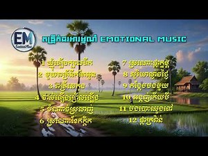 12 បទ ពីរោះៗ ( តន្ត្រីកំដរអារម្មណ៍ - Emotional Music ) ចាក់ក្នុងហាង