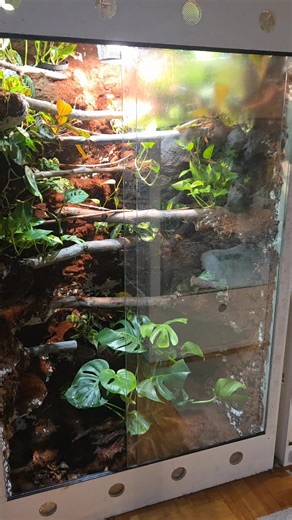 Python for Terraristics: Tips and Tricks