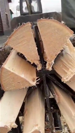 An automatic machine is splitting a log into eight wedge pieces