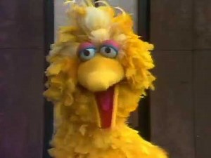 Classic Sesame Street - Love, Amy