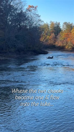 Nestled in the North Georgia mountains🏔️, two mountain-born waterways in Meeks Park merge and keep flowing onward to Lake Nottely. Follow the gentle rush of Butternut Creek as it travels through the forest… then meet the grand Nottely River at the park’s edge… and ultimately feeds the shimmering Lake Nottely. 🥾Perfect for a trail walk, a paddle launch, a moment of stillness… this natural water-path connects mountain springs to the lake. Next time you’re in the area, bring your camera (or drone