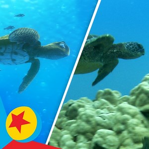 59K views · 1.8K reactions | From sea to screen! #EarthMonth | Pixar | Facebook