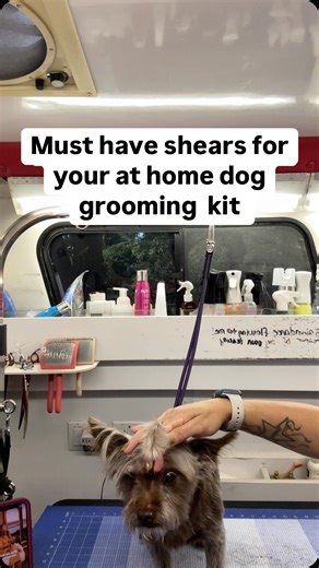 33 reactions · 18 comments | These shears are from GroomBox! It’s a...