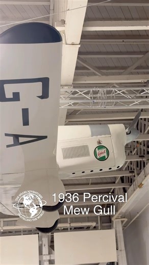 1936 Percival Mew Gull #aviation #aviationhistory #aviationlife #aviationgeek #racingplane #shorts
