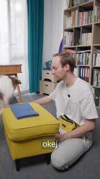 Part 11. Cooperative Training - Desensitization