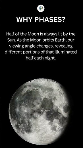 Why Does the Moon Have Phases Throughout the Month