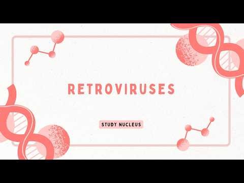 Retroviruses - Virology Crash Course