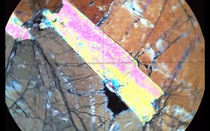 Optical Mineralogy Biotite Tutorial