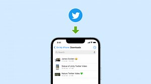 How to Download Twitter Videos on iPhone