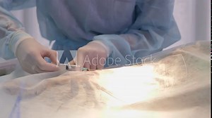 Veterinarians perform surgery on a dog on the operating table at a local clinic. Dachshund in veterinary surgery. Veterinarians perform surgery on a dog.Two veterinarians perform abdominal surgery