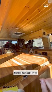 278 reactions · 29 shares | Travel worry-free with Waggle!  Keep your pet safe with real-time temperature alerts. Use code WAG50 for a cool 50% off! | Waggle | Facebook