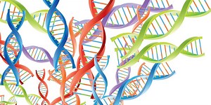 Why studying the whole genome matters