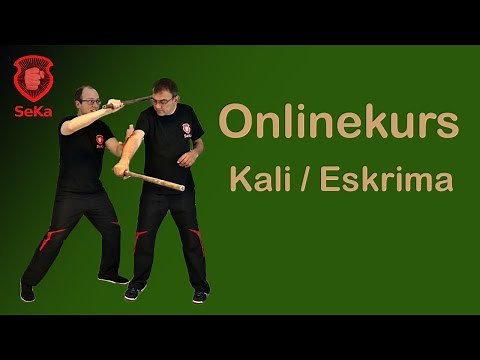 Einsteigerkurs Eskrima | Grundlagen Stock