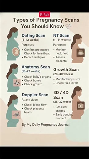 Understanding Pregnancy Scans: What to Expect