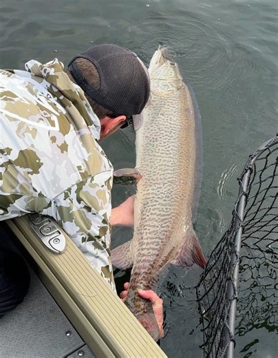 56-inch musky sets new state record. What are the other largest fish records in Wisconsin?