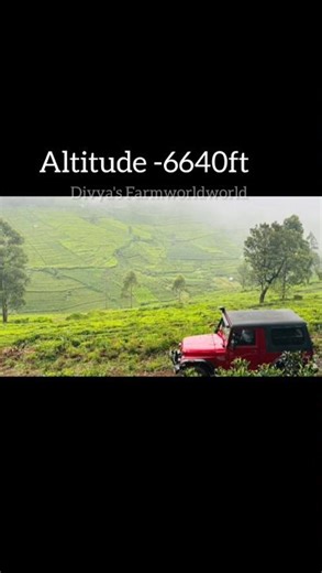 Farmland sale in Kotagiri #kotagiri #shortvideo C.No-9952414986