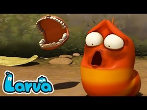 Larva | Larva Cartoon Season 4 | Larva Cartoon Full Episode 1 ~ 60 | Lavar New