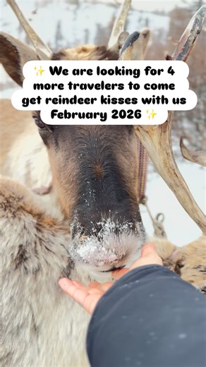 1.7K views · 7 comments | Best of Northern Mongolia Winter Tour, February 2026. Who is coming with us: 歷 2-night homestay with a Dukha (reindeer) herding family 流 Drive on a frozen Lake Khuvsgul  Follow local Park Rangers and help with animal conservation efforts ️ Experience the raw beauty of Mongolia in winter! | Meanwhile in Mongolia | Facebook