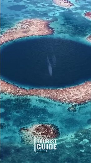 Exploring the Great Blue Hole in Belize 🌊🔍
