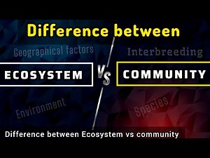 Ecosystem vs Community Explain The Difference between Community vs Ecosystem