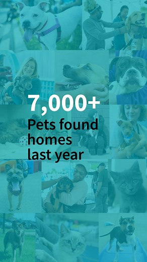 7,000 pets found homes last year—every single one started with a story like this. Help more pets find their happy ending. | Michigan Humane