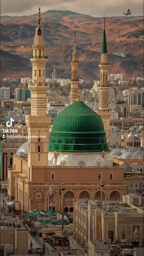 Madina Jana Hy Bas 🙏😭 #support #pleasesubscribe #10millionview #viralshorts