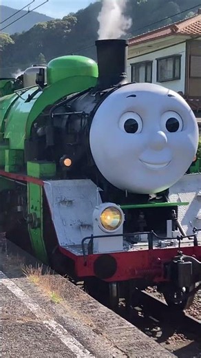 【大井川鐵道】パーシー＆撮り鉄💦 #大井川鐵道 #きかんしゃトーマス #thomasandfriends #steamlocomotive