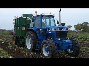 FORD 7710 Harvesting Sugar Beets - Sugar Beet Harvest 2025