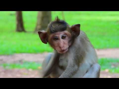 Mom Teaches Her Baby About Growing Up: The Weaning Journey