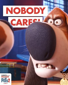 35K views · 1.2K reactions | Pops is too old for this sit. Get your tickets for #TheSecretLifeofPets2 now: fandango.com/pets2earlyaccess | The Secret Life Of Pets | Facebook