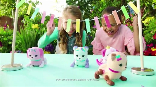 Watch Little Live Pets S1 Cutie Pup Single Pack on Amazon Live