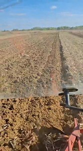 31K views · 235 reactions | TX80 i IMT 756 | TRAKTORI . HR | Facebook