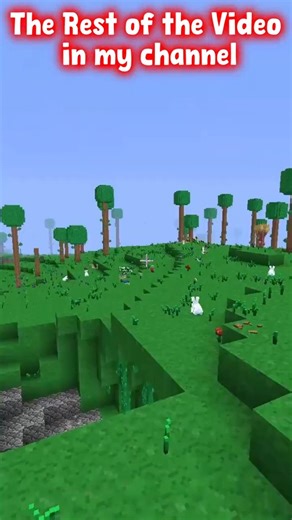 Minecraft Terraria Mod