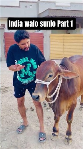 india walo sunlo 😭 Part 1 _ Short story _ Eid ul adha 3rd day qurbani _ #camel #goat #qurbani #cow