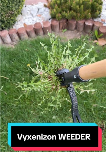 Solución efectiva para eliminar maleza de tu jardín