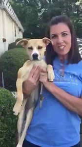 12K views · 2.4K reactions | HELLO MY ANGEL FRIENDS, LISTEN UP AND...