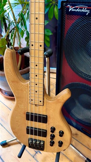 Boutique Bass Perfection | Progress Series IV Custom 4-String