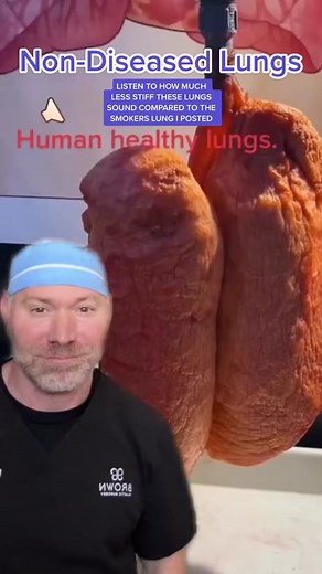 Healthy Lungs 🫁