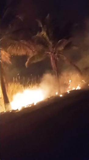 ६ फेब्रुवारी, २०२६