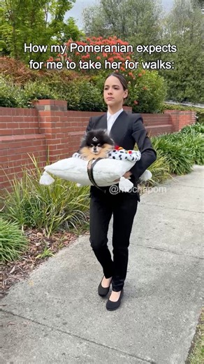 257K views · 6.7K reactions | How Mocha expects for me to take her for her walks 來 | Mocha Pom | Facebook